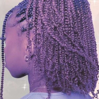 Top 10 Twist Styles for Natural Hair