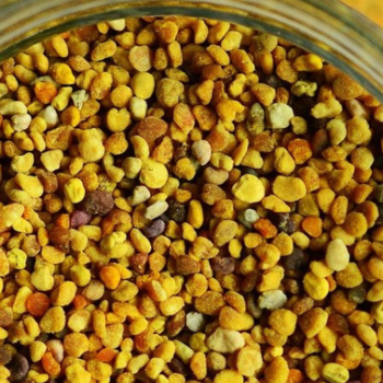 Tired, Damaged Hair? It's Time for a Pollen Boost!